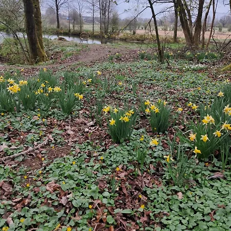 Les Landes De Bruyeres *