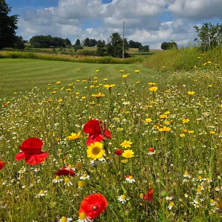 Les Landes De Bruyeres